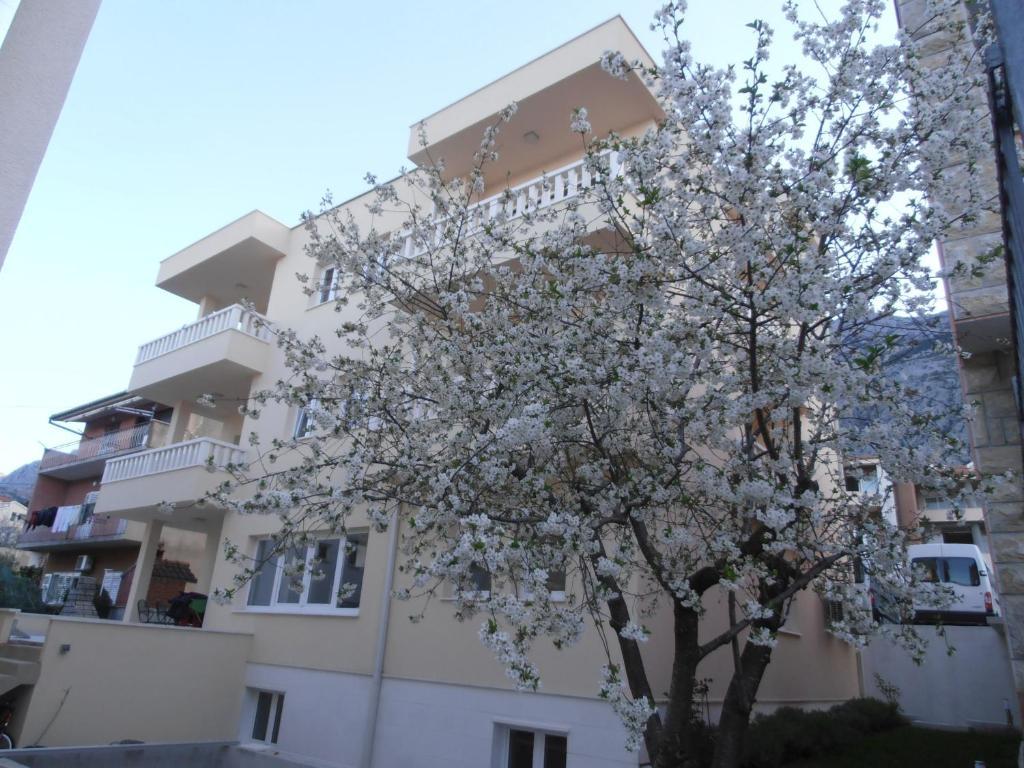 Villa Lelas Makarska Exterior photo